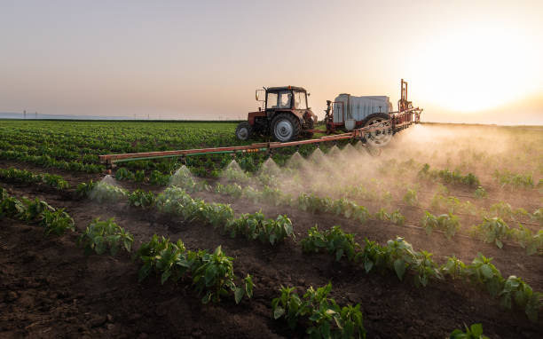 Insect Control in Grand Mound, WA