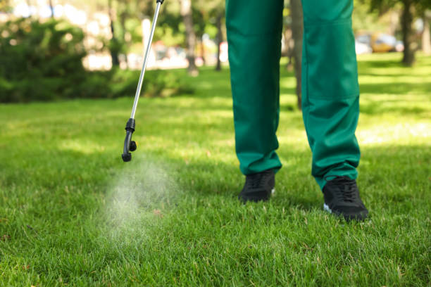 Professional Pest Control in Grand Mound, WA